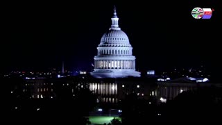 TWO CATS U.S. POLITICAL NEWS