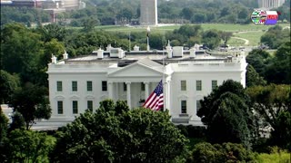 TWO CATS U.S. POLITICAL NEWS