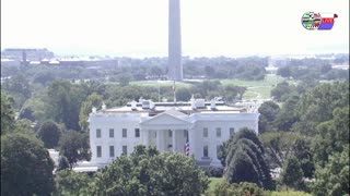 TWO CATS U.S. POLITICAL NEWS