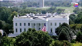 TWO CATS U.S. POLITICAL NEWS