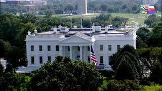 TWO CATS U.S. POLITICAL NEWS