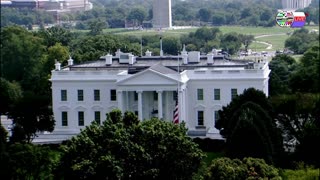 TWO CATS U.S. POLITICAL NEWS
