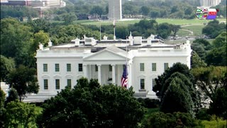 TWO CATS U.S. POLITICAL NEWS