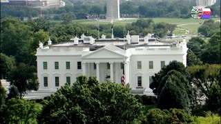 TWO CATS U.S. POLITICAL NEWS