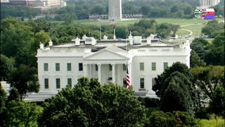 TWO CATS U.S. POLITICAL NEWS