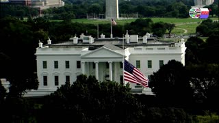 TWO CATS U.S. POLITICAL NEWS