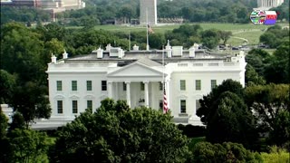 TWO CATS U.S. POLITICAL NEWS