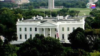 TWO CATS U.S. POLITICAL NEWS