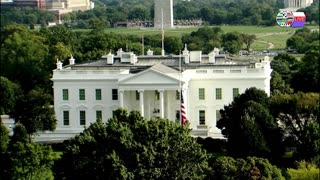 TWO CATS U.S. POLITICAL NEWS