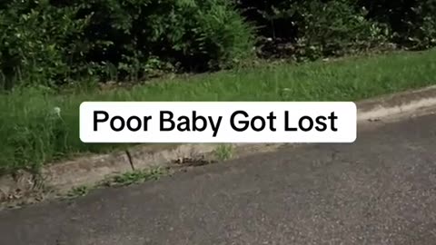 🤯🚶‍♂️ Heartbreaking Abandonment of Autistic Teen in Park | FunFM