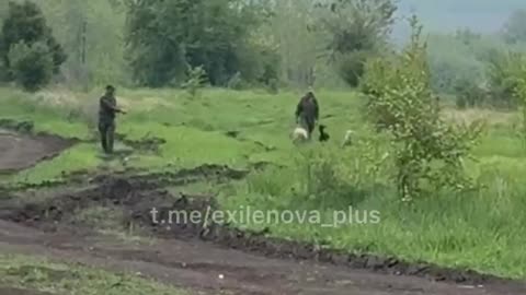 🐑 The situation at the Russian positions…