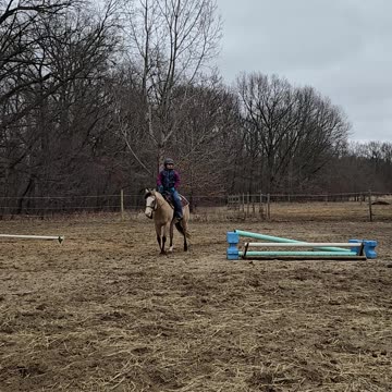 Kyla first ride on her new partner, Gemma !