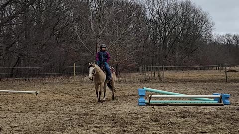 Kyla first ride on her new partner, Gemma !