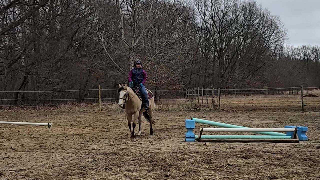 Kyla first ride on her new partner, Gemma !