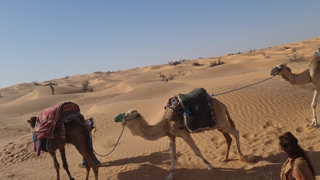 Samantha riding camel April 5, 2025