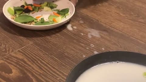 Mini Pig Takes A Drink Between Bites