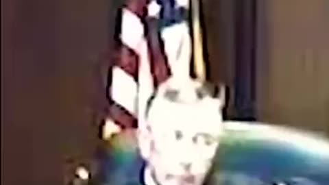 Shocking: Judge and Defendant have Cheeky Exchange #courtroom #viral #courtroomd