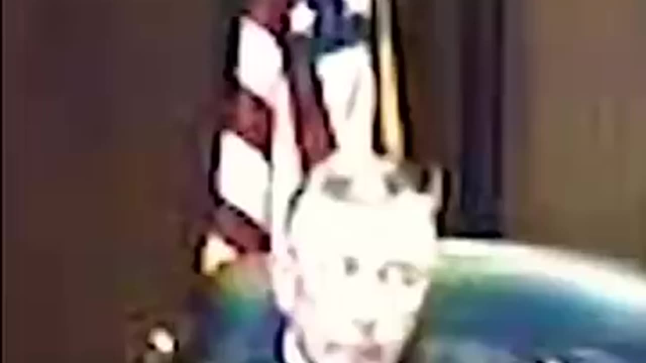 Shocking: Judge and Defendant have Cheeky Exchange #courtroom #viral #courtroomd