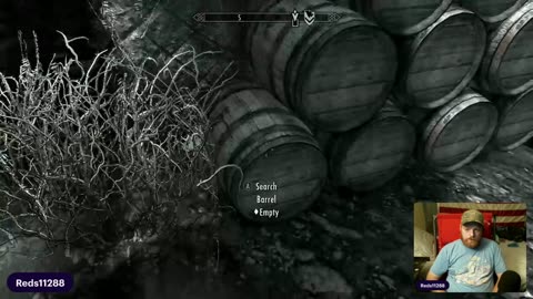 Skyrim Fun And Talking