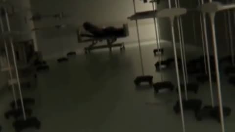 😱🇨🇳 Recorded in China: The Unseen Entity Captured on Camera | TheHauntingHour