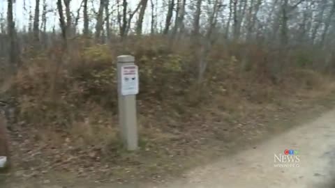 Increasing pedestrian safety on Harte Trail