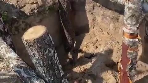 🎖️🛡️ Ukraine War | Ukrainian Support Forces Build Defensive Fortifications | RCF