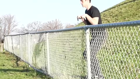 How Animals REALLY Get Over Fences! (Hilarious Compilation) 🤣🐐🐶