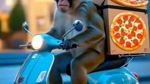 When your pizza delivery guy swings from trees—this monkey means business.