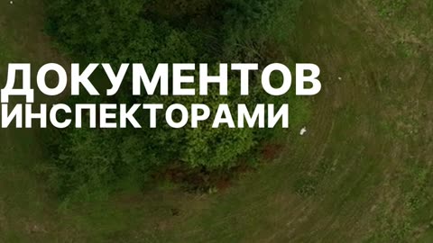 Путевой лист КАМАЗ: образец, требования и электронная версия
