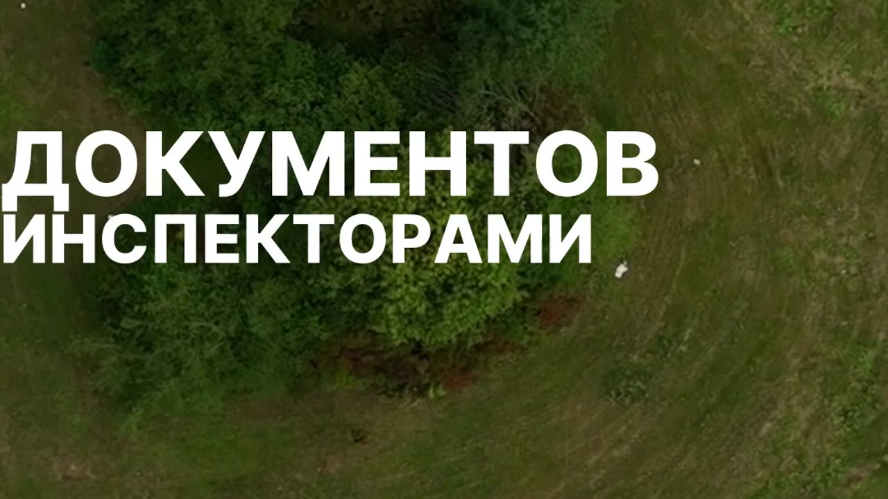 Путевой лист КАМАЗ: образец, требования и электронная версия