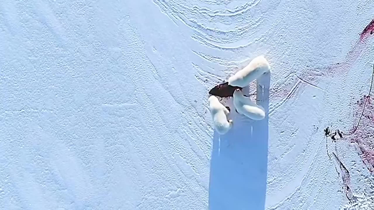 Bro is hungry