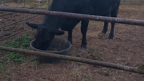 Responsibility- The Word