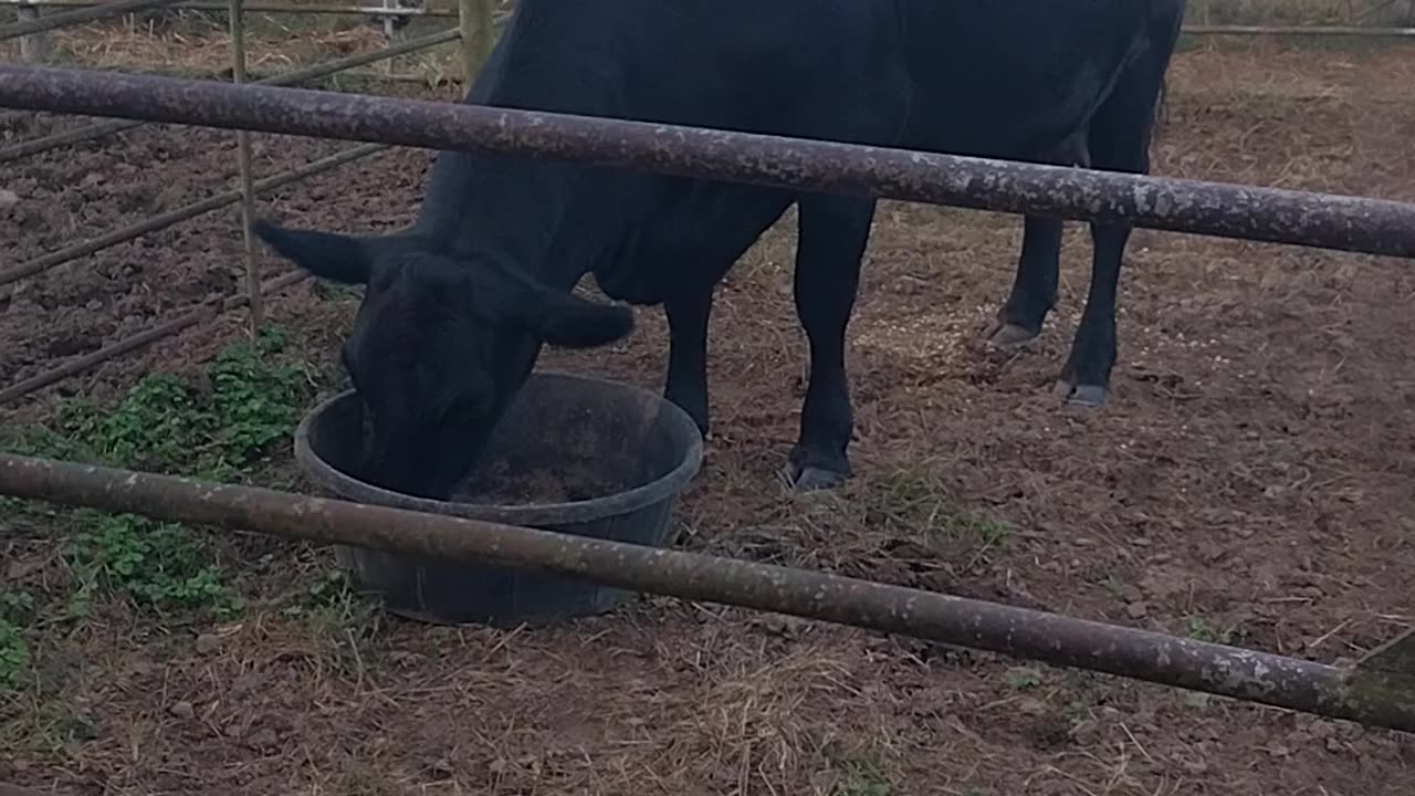 Responsibility- The Word