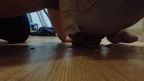 Barefoot Food Trample 2
