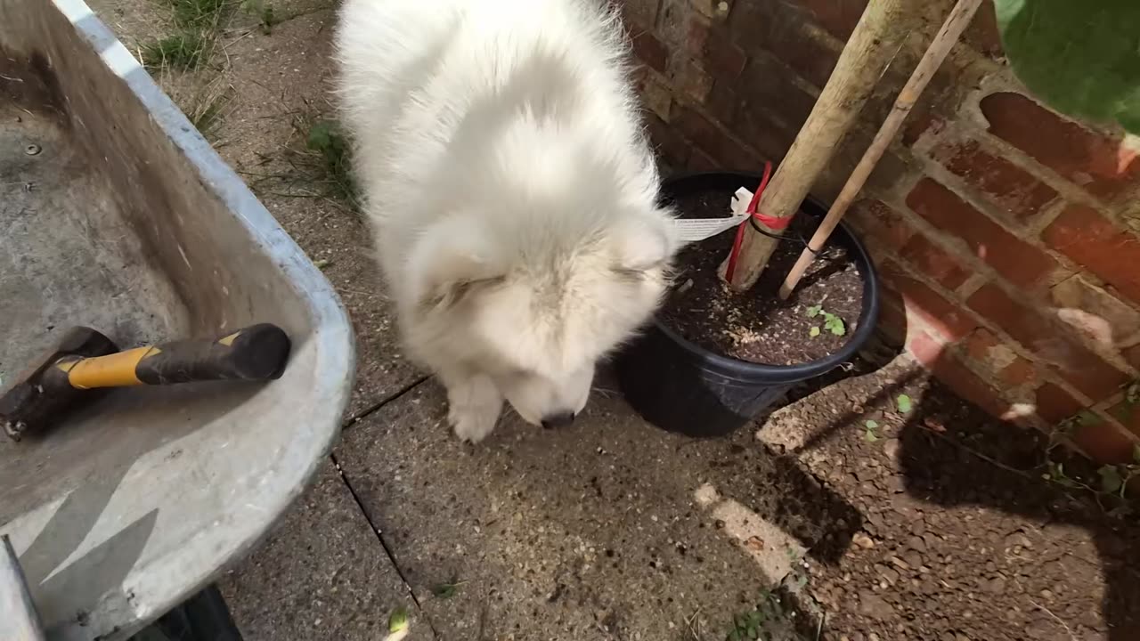 Rate my hole