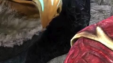 Wings of Hope: The Eagle Lends Gabriel its help or does it?