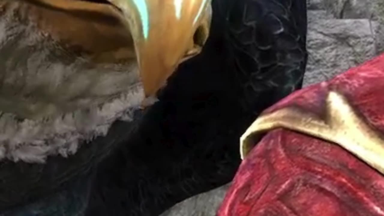 Wings of Hope: The Eagle Lends Gabriel its help or does it?