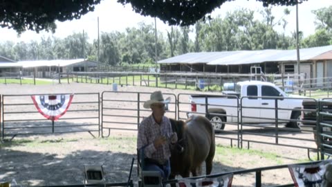 Skipper Calder & Cowboy-up Ministry bring horse training with a message at 11am.