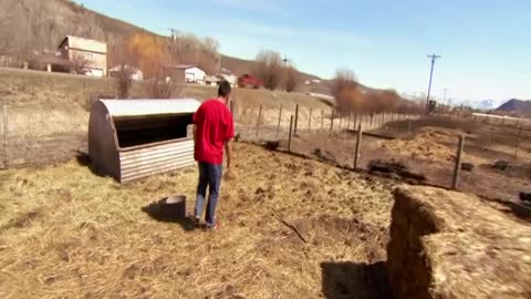 Dr. Jeff .Rocky .Mountain. Vet.