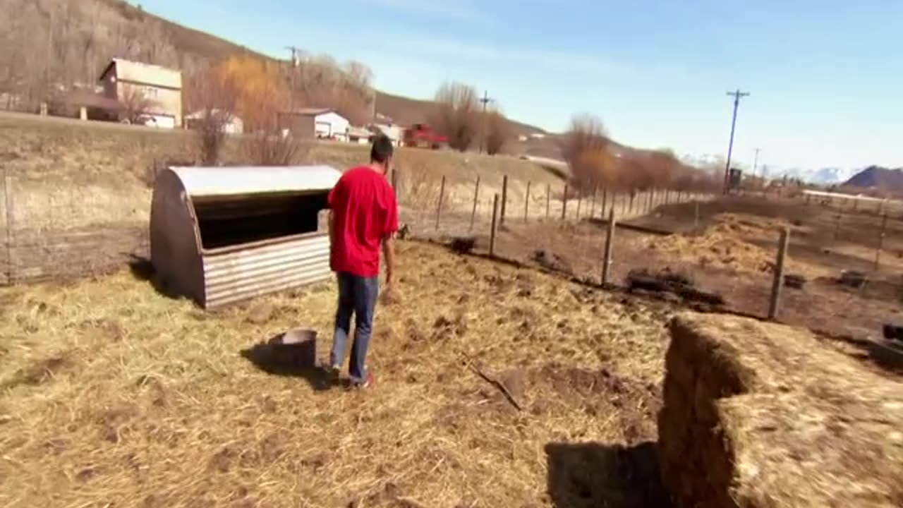 Dr. Jeff .Rocky .Mountain. Vet.