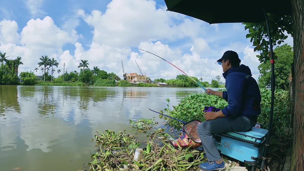 Salmon Secrets Their Life Cycle Revealed