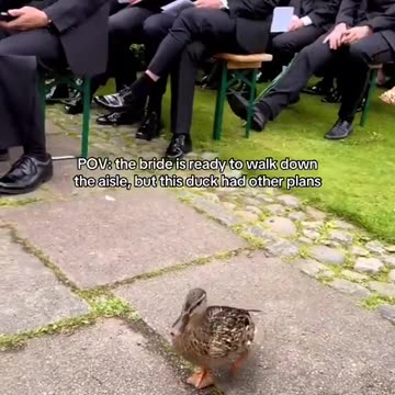 “Would you still love me if I was a duck”