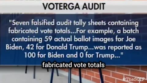 2020年の選挙は、事務手続き上ではない重大なミス、つまり意図的な不正行為を露呈