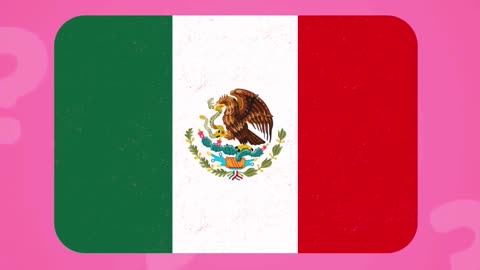 Guess the Flag in 3 Seconds! 🌎🔥