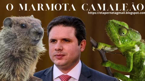 HUGO MARMOTA