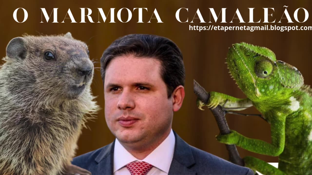 HUGO MARMOTA