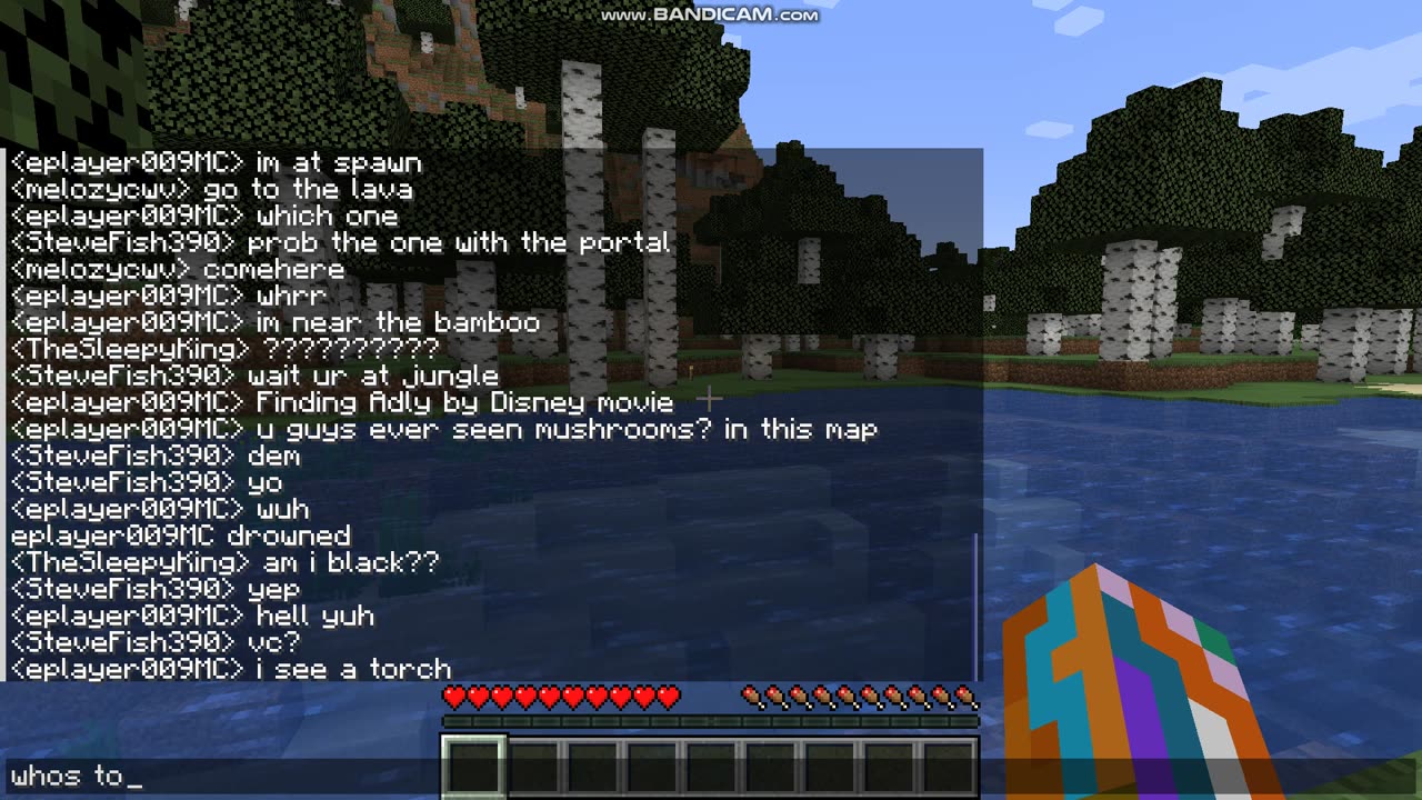 minecraft part 2
