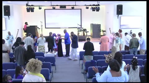 Livestream Service