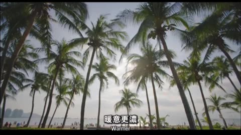 China builds the world’s largest free trade port in Hainan