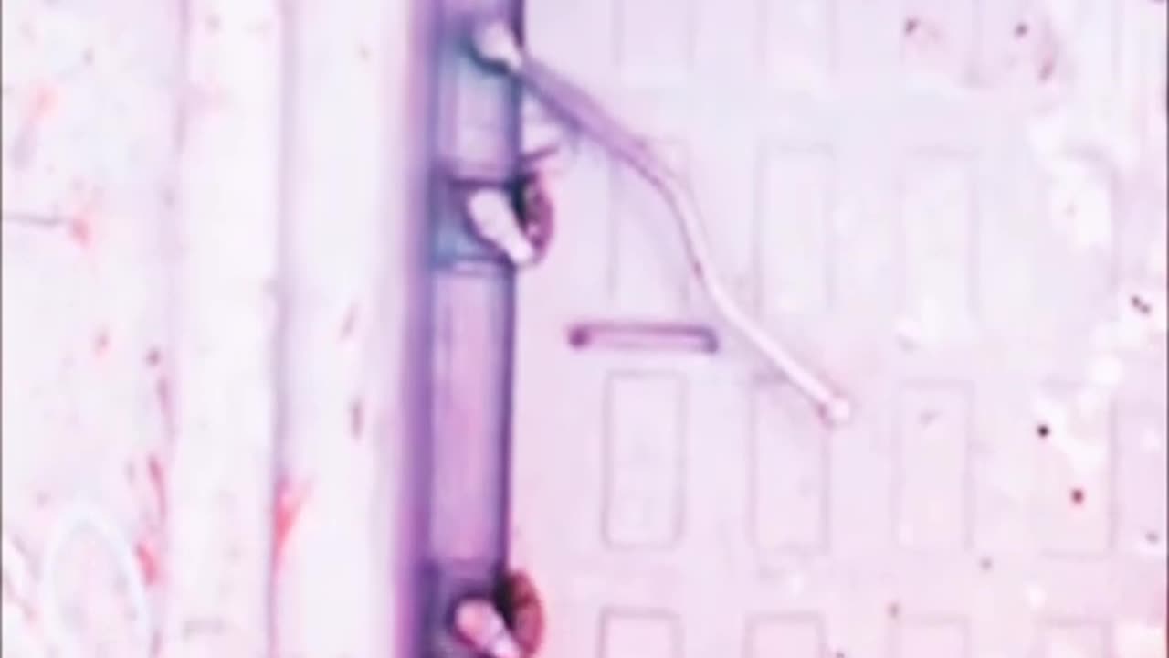 USS LIBERTY - US Government Coverup of Israel's Attack